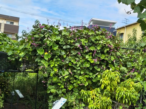 IMG_20260911_134616934_HDR