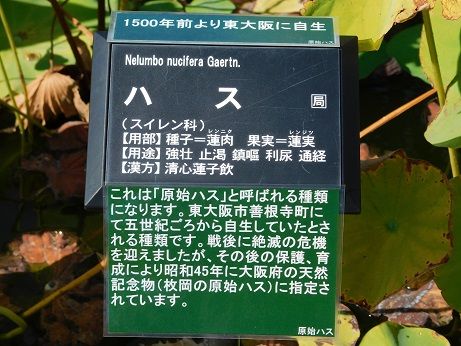 DSCN3709
