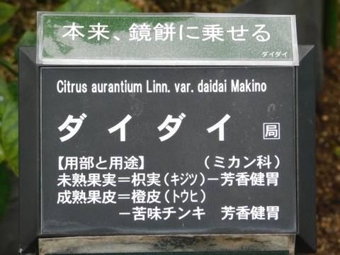 DSCN6448