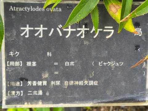 IMG_20260911_134459907_HDR