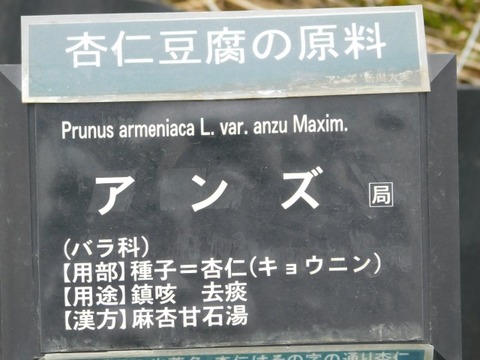 DSCN6192
