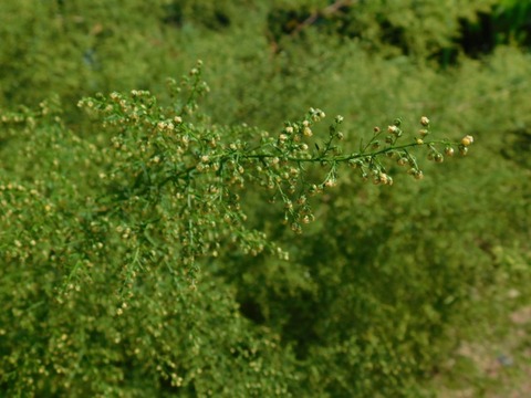 DSCN2772