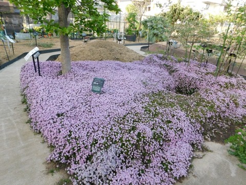 DSCN3874