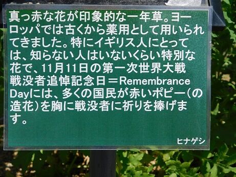 DSCN9355