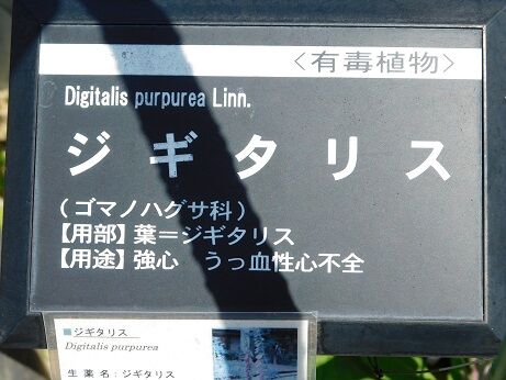 DSCN9357