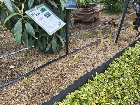 IMG_20260911_160831677_HDR