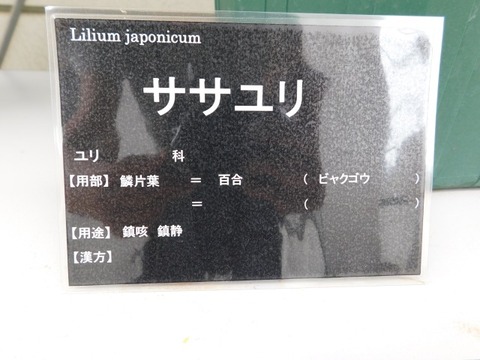 DSCN6883