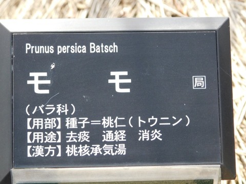 DSCN3701