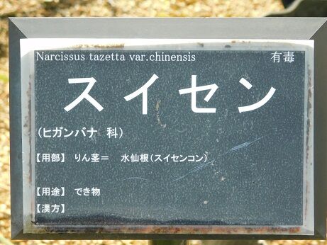 DSCN1077