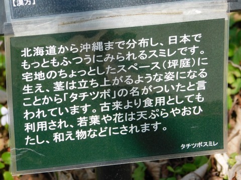 DSCN3726
