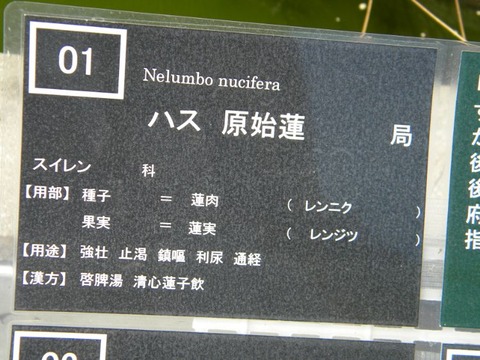 DSCN9476