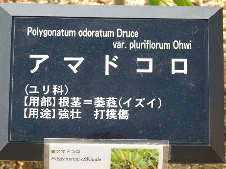 DSCN2430