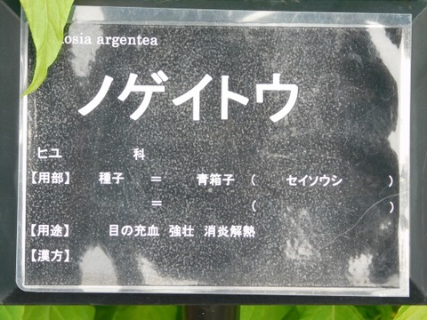 DSCN2289