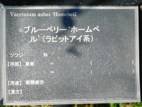 DSCN3121