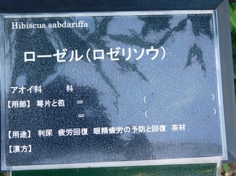 DSCN2587