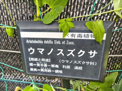 IMG_20260827_132627779_HDR