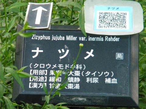 DSCN9880