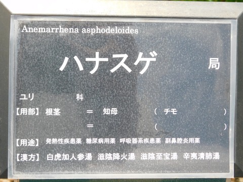 DSCN4186