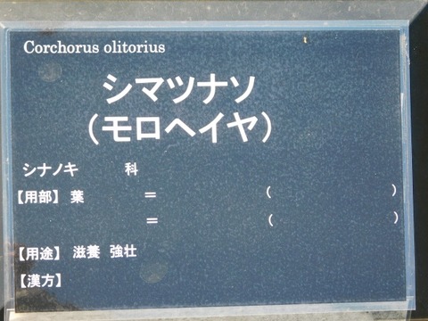 DSCN7416