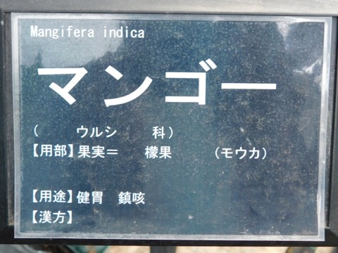 DSCN2284