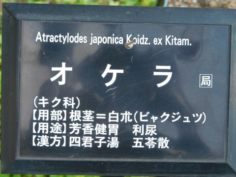 DSCN2737