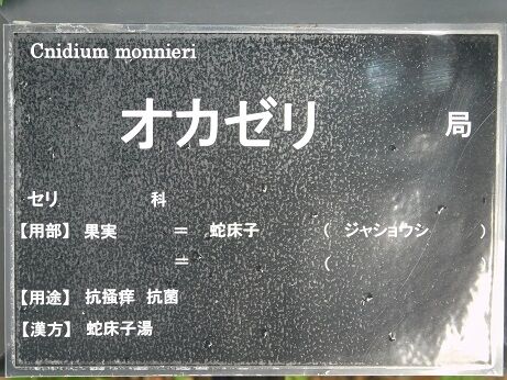 DSCN9565