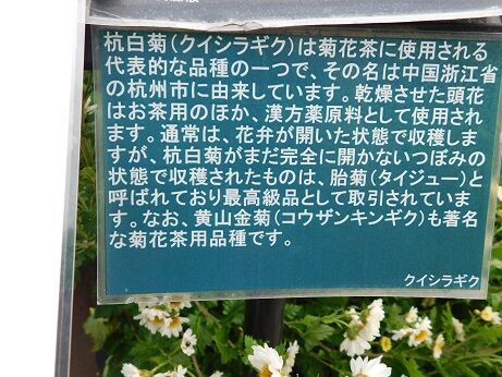 DSCN8861
