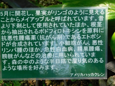 DSCN2164