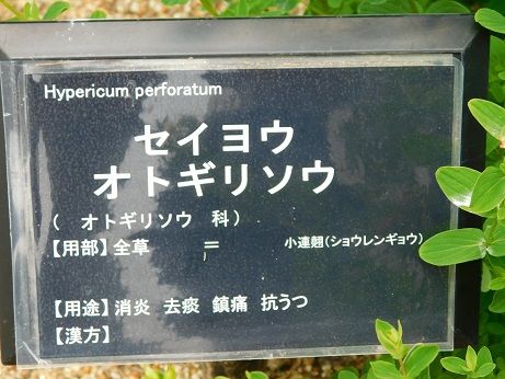 DSCN3192
