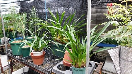 DSCN8180