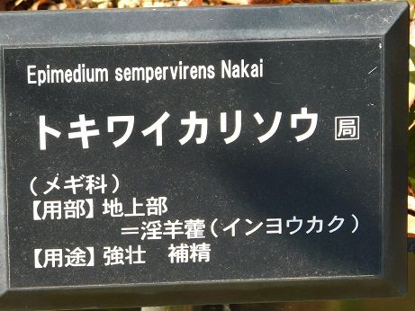 DSCN4483