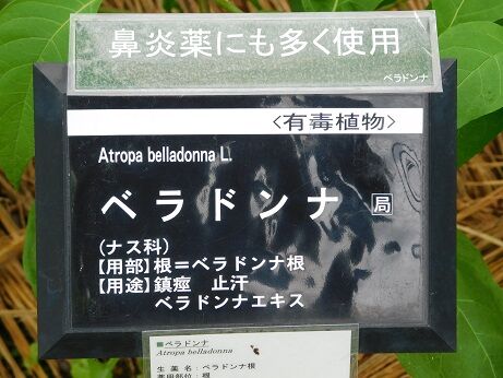 DSCN9898