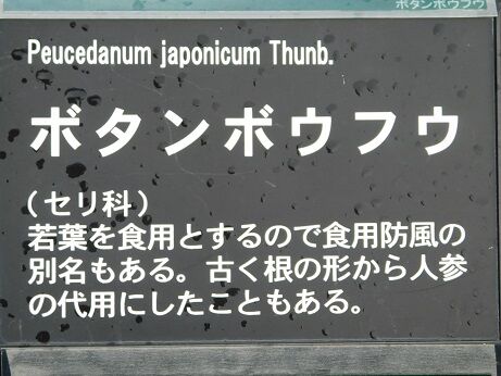 DSCN8340