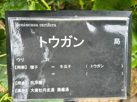 IMG_20260827_132754937_HDR