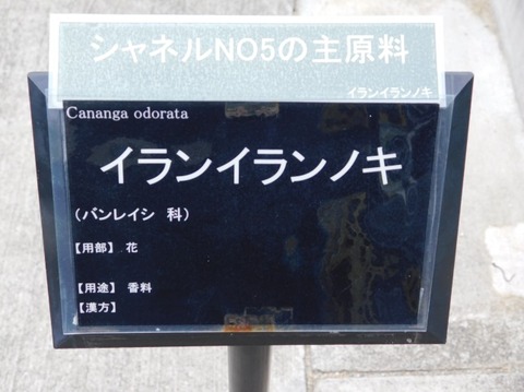 DSCN2601