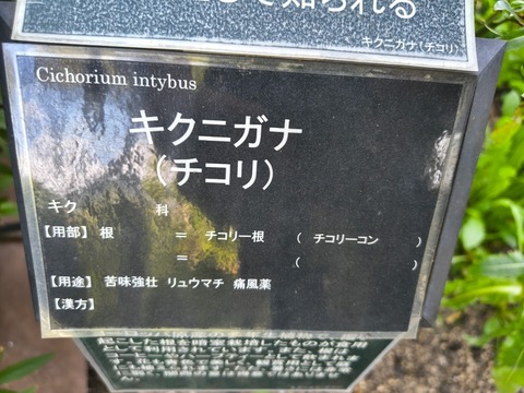 IMG_20260925_072607570_HDR