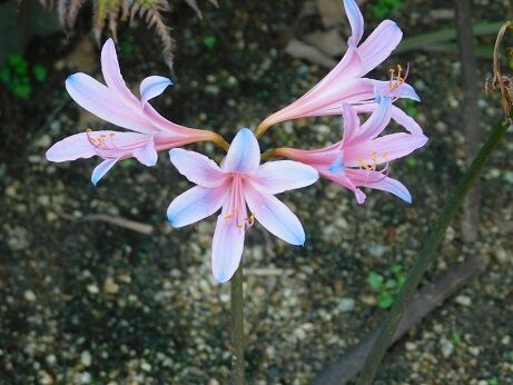 DSCN8416