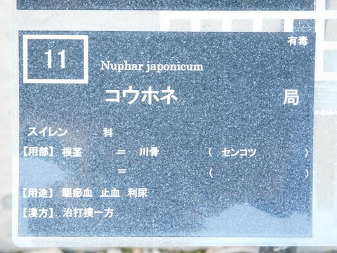DSCN5383