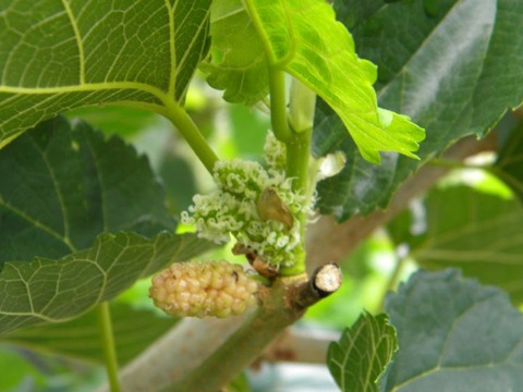 DSCN9671