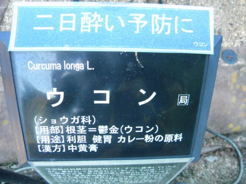 DSCN9853