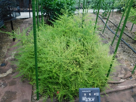 DSCN7473