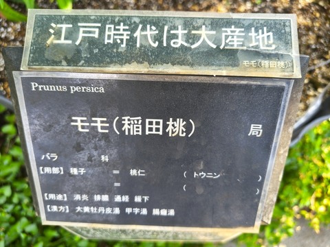 IMG_20260716_154114840_HDR