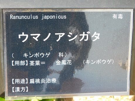 DSCN2457