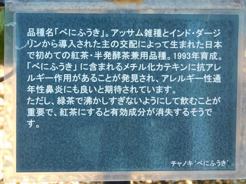 DSCN5424