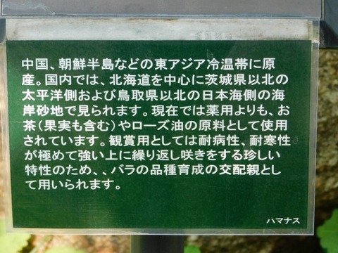DSCN2181