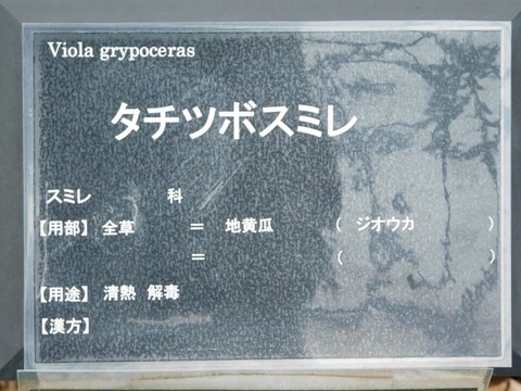 DSCN3622