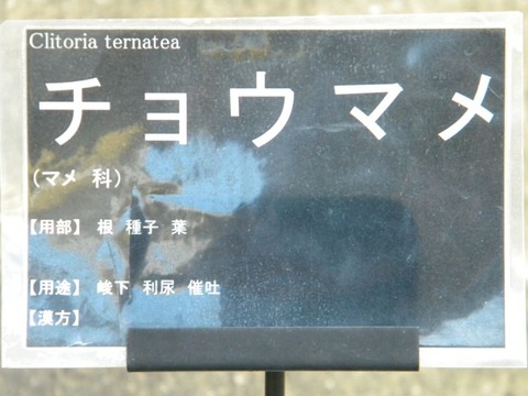DSCN9877