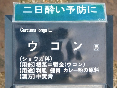 DSCN2712