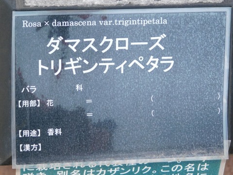 DSCN3873