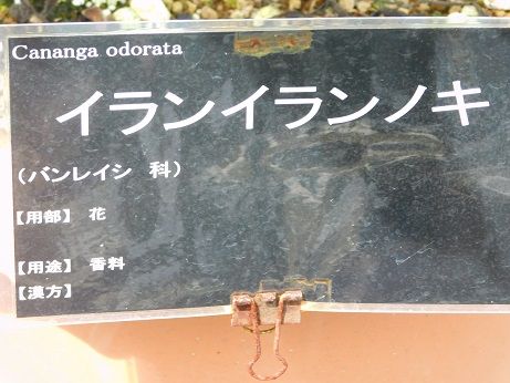 DSCN5959